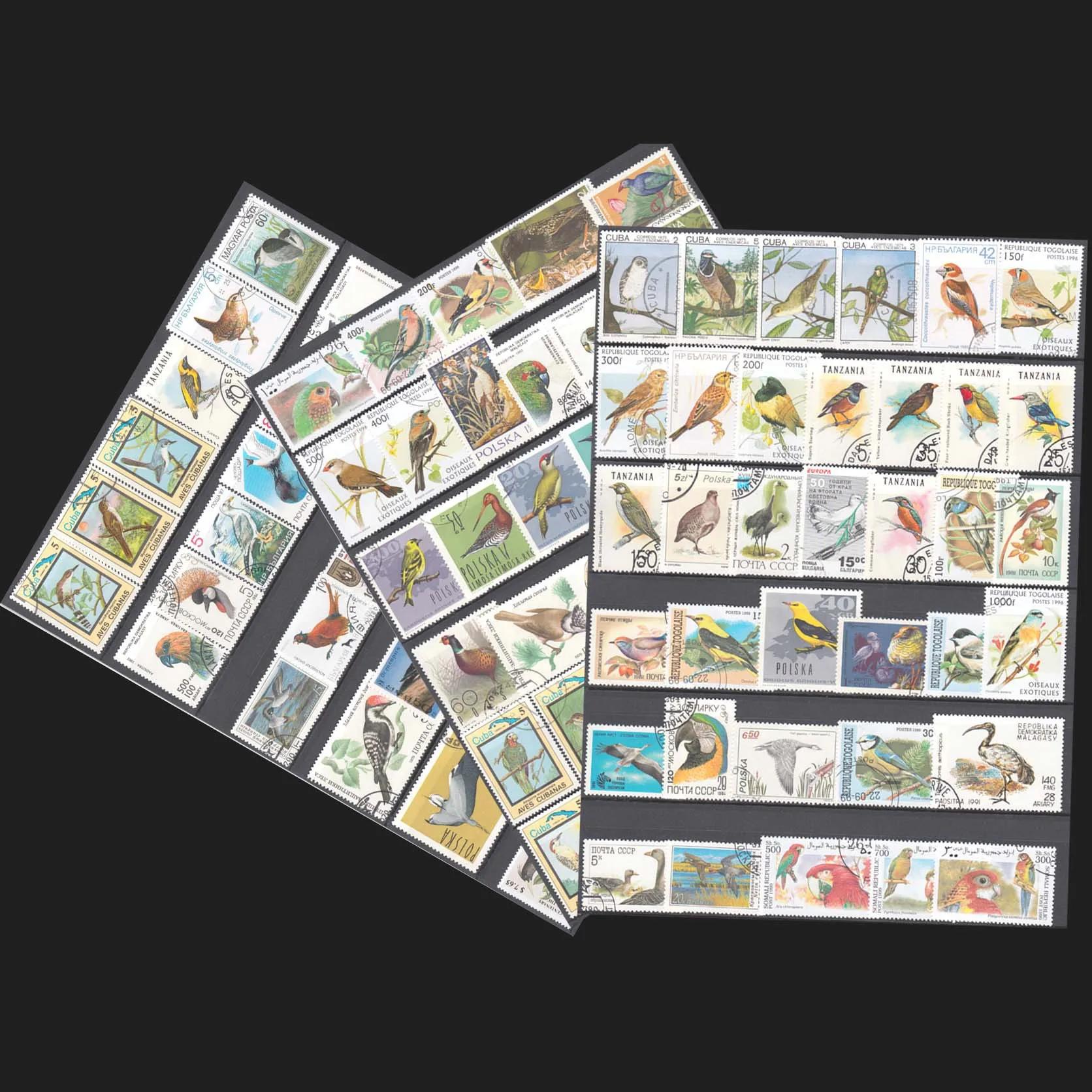 250 개/몫, 주제 새, 단어의 다른 새 우표, 동물 우표, 포스트마크와 함께 사용, 고품질, 우표 컬렉션